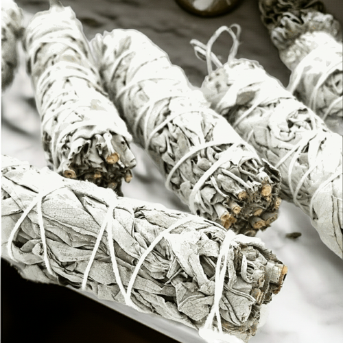6 pack of white sage bundles